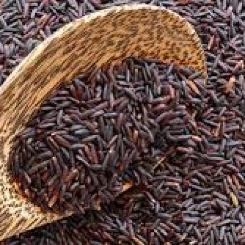 black rice (chak hao)